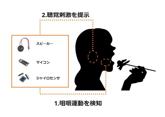 研究画像